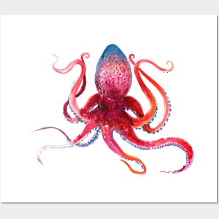 Octopus Posters and Art